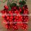 10-cluster fruit grape string light