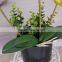 Factory Direct Cheap Real Touch Indoor Potted Pink Butterfly Orchid Flower Artificial Plants