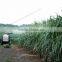 DS-35 agricultural equipment sugarcane sprayer pesticide fertilizer sprayer truck mounted sprayer