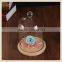Wholesale glass bell jar glass bell