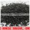 Quickly quotation factory sales metal abrasive GL steel grit