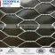 small hole chicken wire mesh made in china