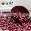 Polished hand pick selected Dark red kidney bean for cannery