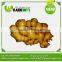 OEM Or ODM China Organic Ginger With Different Package