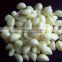 Fresh Style And Organic Cultivation Type Fresh White Garlic