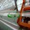 Automatic egg collect machine for chicken farm