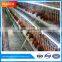 big sale beautiful reduce aggression 3 tiers galvanized egg-laying hens