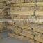Bamboo pole diameter 1" 24-26mm