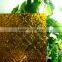 3-8mm Clear Bronze Blue Amber Green Grey Pattern Glass