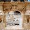 High quality home decoration marble fireplace with lion head