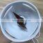 Ningbo Hand Blender With Cheap Price