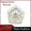 Yiwu Crystal Rhinestone Silver Plated Beauty Queen Crown For Adult Halo H172-157