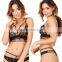 Import Sexy Girls Pictures of Women in Lace Underwear Full Transparent Bra Bra Set