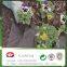 Black landscape fabric/weed control fabric/ground mulch film