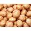 100% Natural african potato extract/dry potato powder/african potato powder