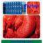 100% Pure Natural Tomato Paste in Canned Food