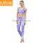 Hot Selling Yoga Wear Polyester Yoga Leggings And Bra One Set for Women