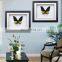 Butterfly Specimen with Wooden Frame wholesale 10 inch