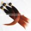 Wholesale two tone ombre color hair extension straight wave remy human hair weft color