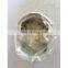 Kubota V2203DI Piston 1G796-21112 for Carrier Denyo