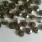 diesel engine fuel  injector pressure pin 2433124379  2433120112 2433120127 2433124137