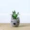 15gallon Brand new fabric grow bags for plant pots felt