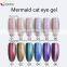 Queen Shining New Mermaid Cat Eye Nail Gel Polish Hot Sale In China