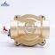 High Quality 2W Series Brass 2W250-08 Electrical Control AC220V DC12V DC24V Pneumatic Water Oil Solenoid Valve