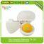 Novelty Cute Food Rubber Pencil Eraser Set Various Stationery Kids Children Toy