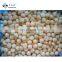 BRC A Approved Hami Melon IQF Fruit Cantaloupe Balls Frozen Cantaloupe from Sinocharm