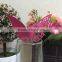 2016 Beautiful Butterfly Shaped Party Decoration Place Card for Wine Glass