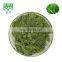 free sample organic juice barley grass extract powder