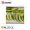 Vacuum freeze-drying machine/ Vacuum dryer series for vegetable and fruit