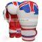 Custom printed flags boxing gloves OEM MMA Boxing Gloves
