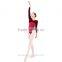 Wholesale Velvet Long Sleeve Gymnastics Leotards