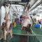 Good Supplier Sheep Slaughter Machinery Halal Goat Meat Slaughterhouse Equipment For Butchery Equipment