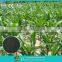 Agricutural staw decay agent