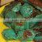 chrysoprase tumbled,rough gemstone dealers,semi precious gemstones for sale,chrysoprase rough wholesale