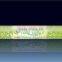 Ylangylang Incense Stick in Hexagonal Packing