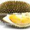 Fresh Musang King Durian