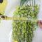 Exquisite promotional natural orchid