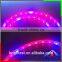 IP65 soft glue led grow strip, 5050 led grow strip plant, smd3528 led grow strip light