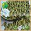 Green Pumpkin Seeds Kernels Foam Pumpkin