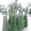 Latest design garden decoration artificial topiary tree fake boxwood tree in factory price