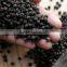 Vietnamese black pepper whole 550gr/l FAQ and cleaned no 1