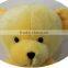 brand new design promotional multi-functiona plush teddy bear