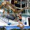 MY Dino-C031 Life Size Full Dinosaur Skeleton for Sale
