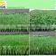 synthetic artificial sporting grass carpet turf lawn for football