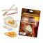 Dig and Discover kit toy of Amber Fossil dig kit
