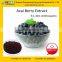 GMP Manufacturer Supply Antioxidant Keepling Slim Natural Acai Berry Extract